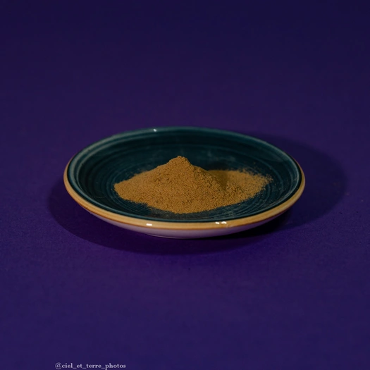 Levure de Bière en poudre - 100g Visuel 1 principal